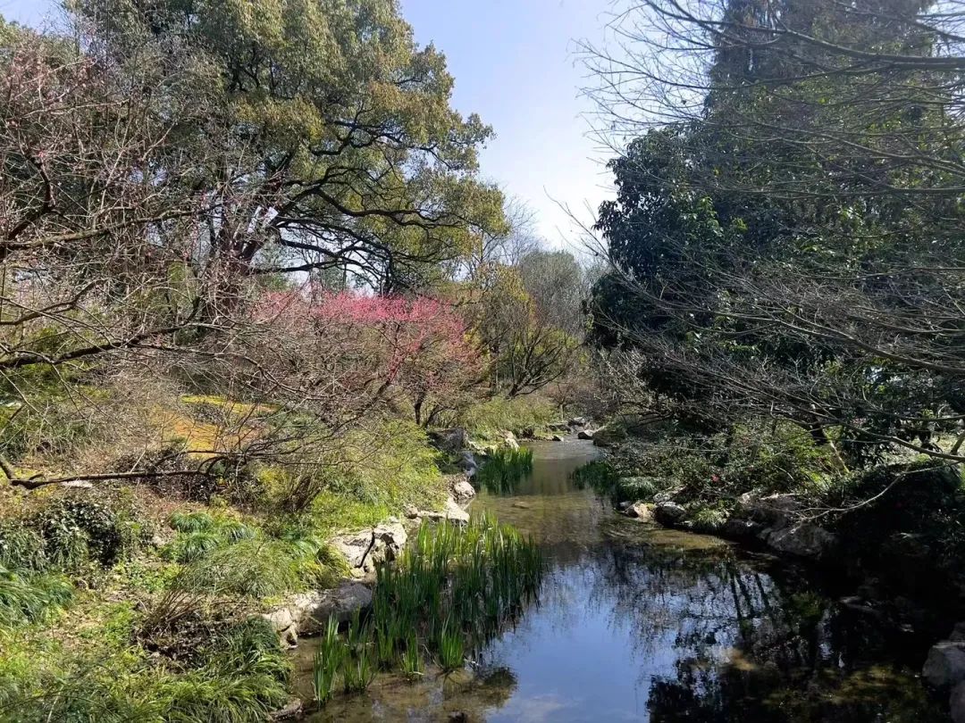 春日踏青,与女神共赴一场粉色的约会-22