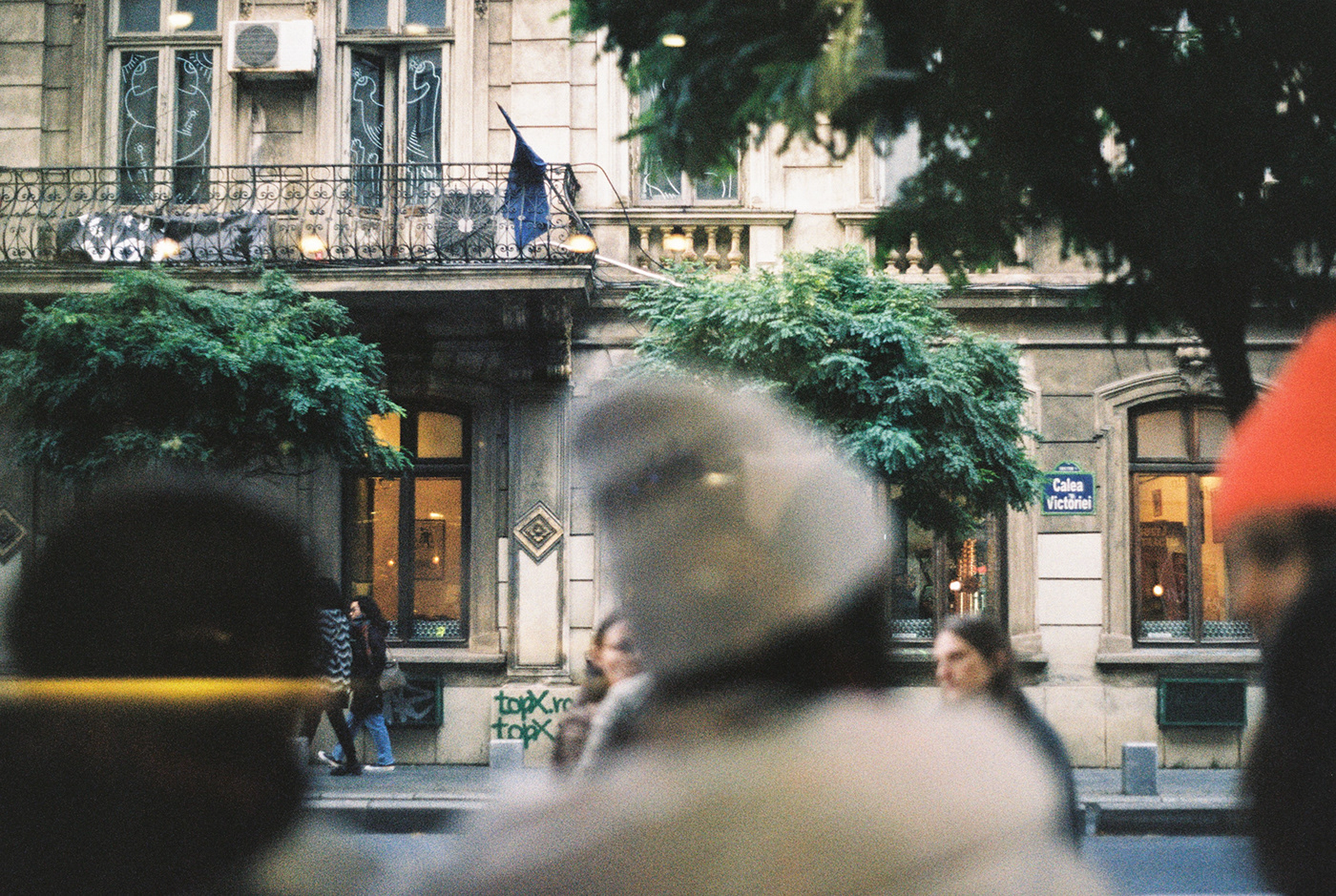 green meeting the city // 35mm film-9