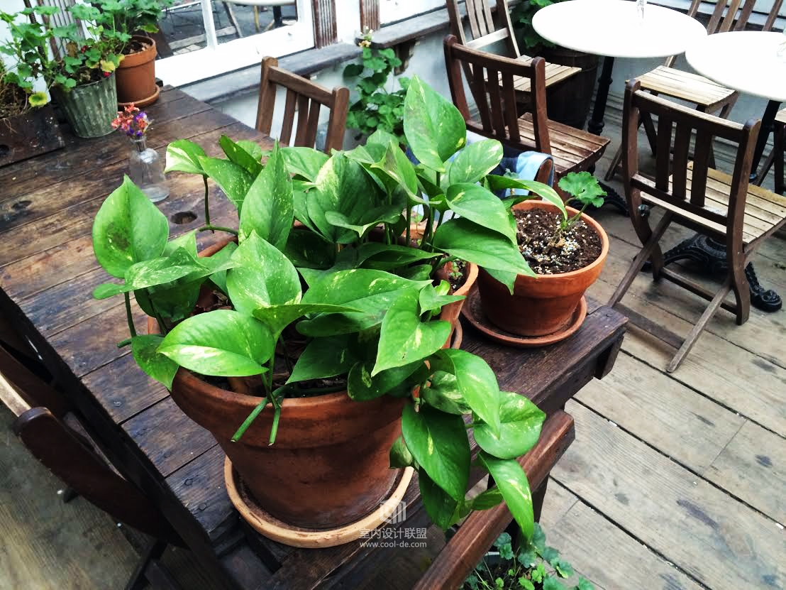 纽约布鲁克林区Milk & Roses餐厅-26