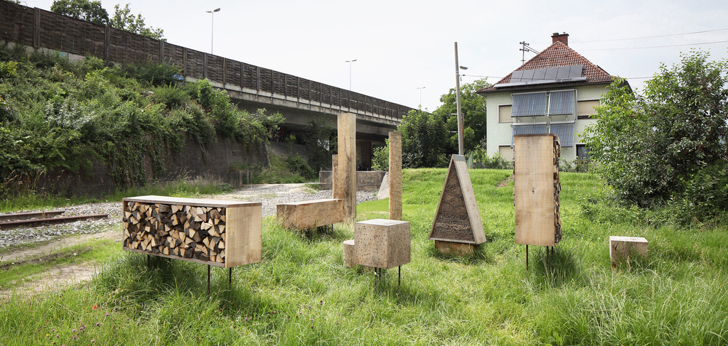 澳大利亚昆虫之城装置-10