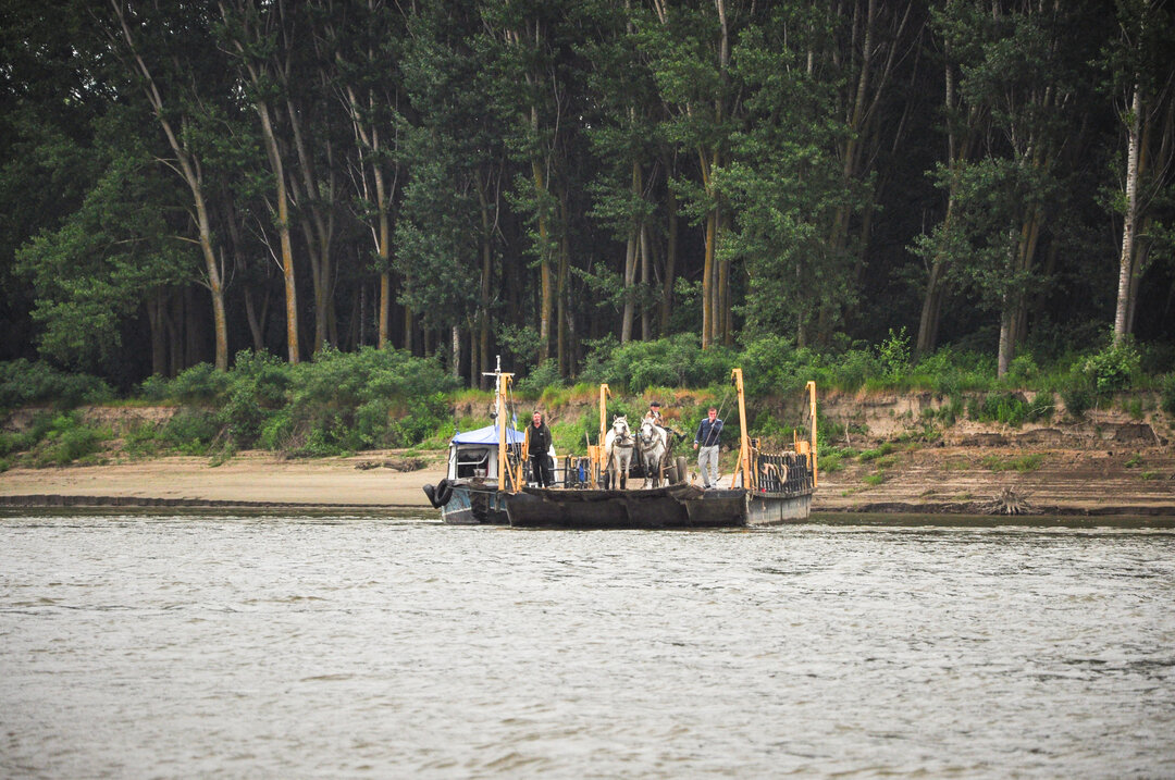 Giurgiu城市复兴及社区活化相关项目丨罗马尼亚-67