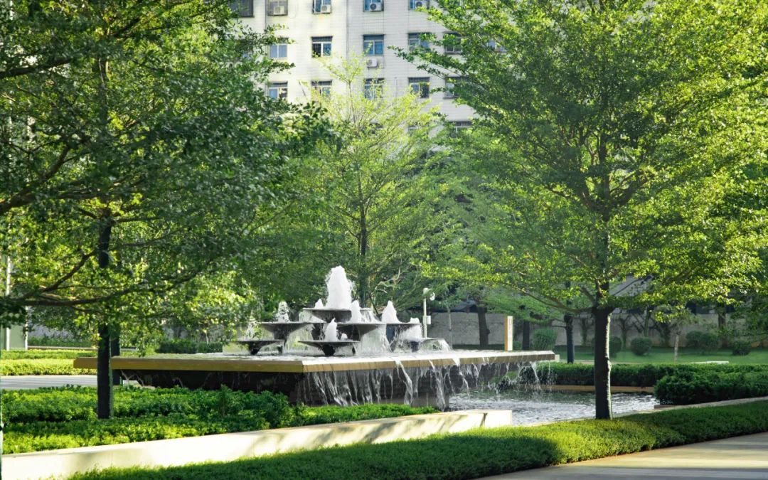 海南招商局区域总部周围景观丨中国海口-30