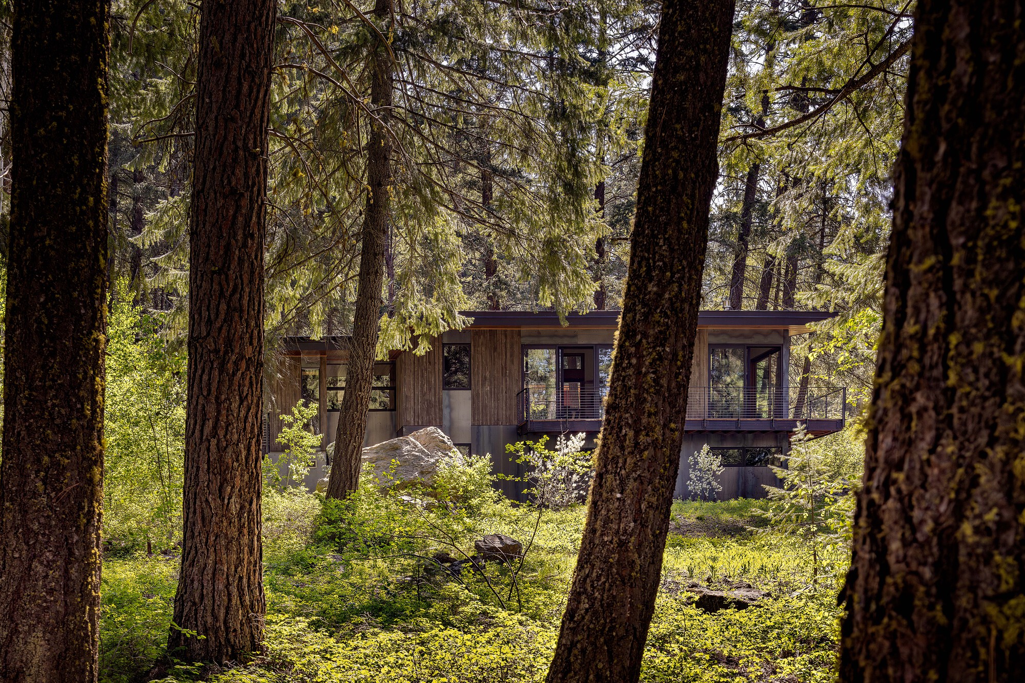 山坡住宅丨美国-24