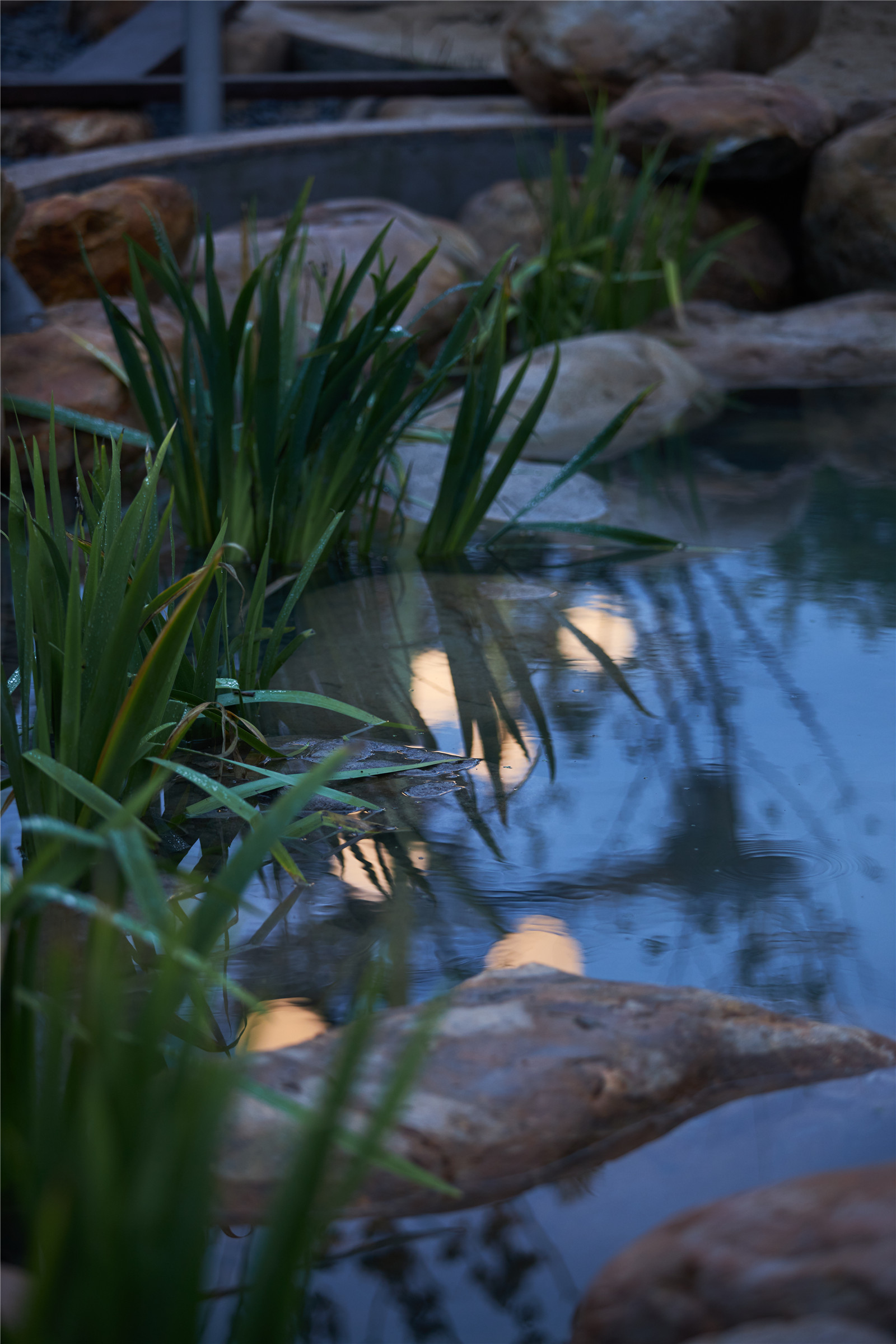 上海庄行社区花园丨中国上海丨上海四叶草堂青少年自然体验服务中心泛境景观设计-33