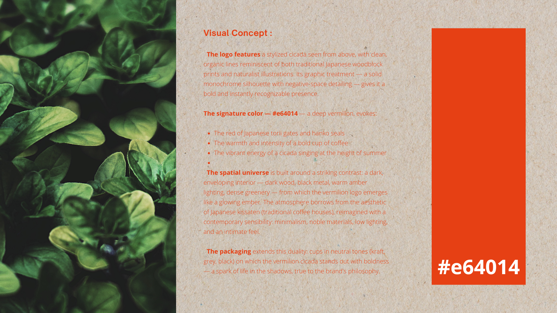 UTUSEMI - Coffee Company-2