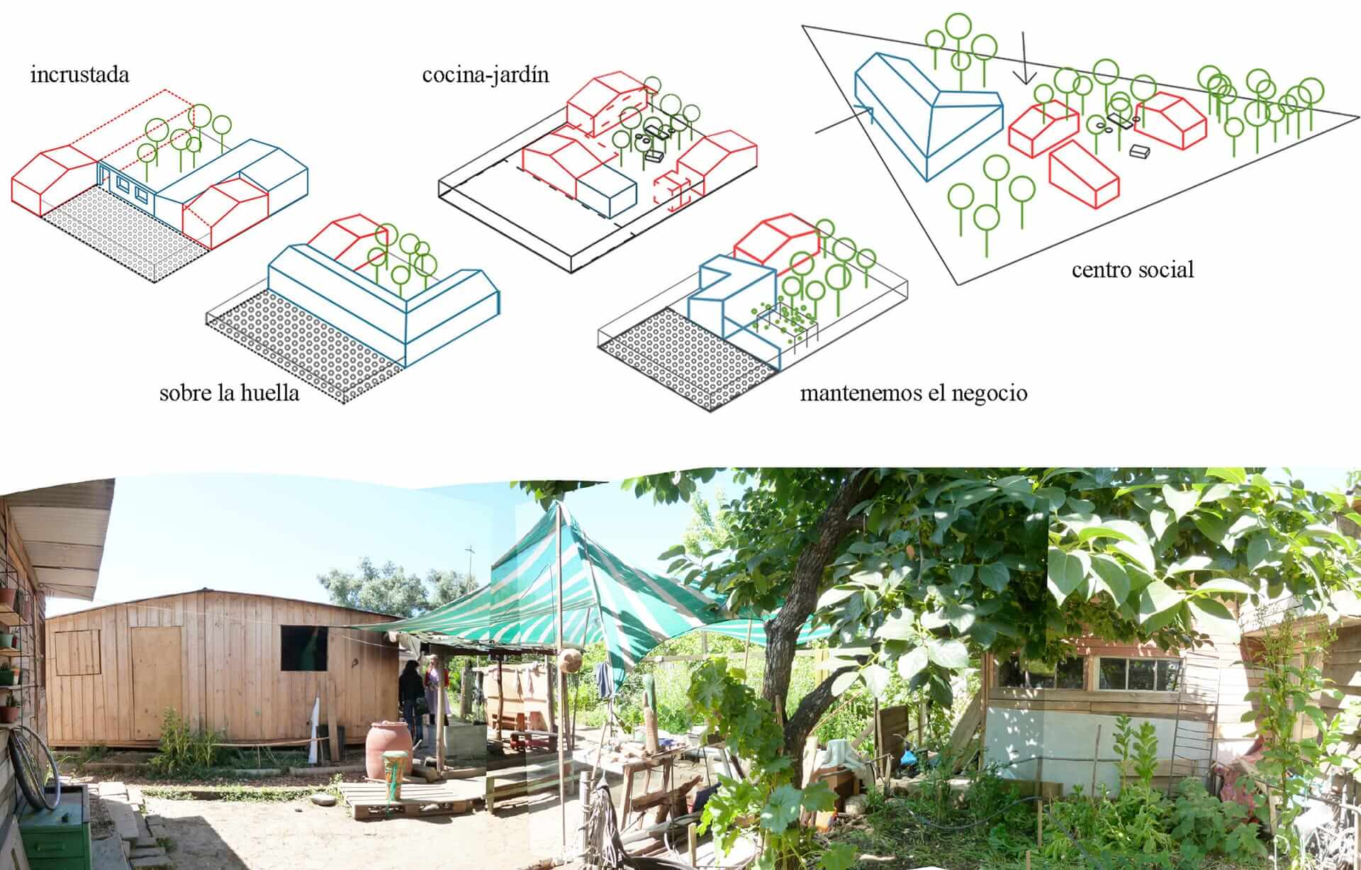 丨智利丨Zoohaus-16