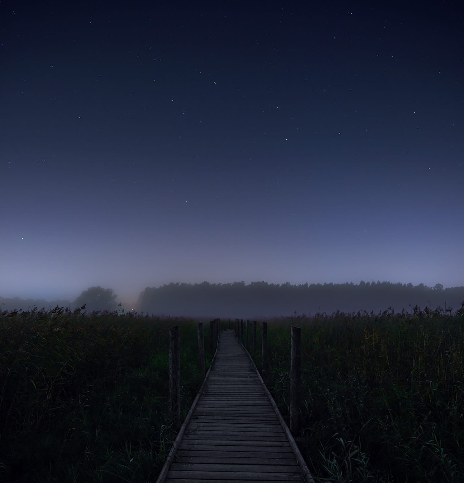 Nattours 无障碍休闲路径-25