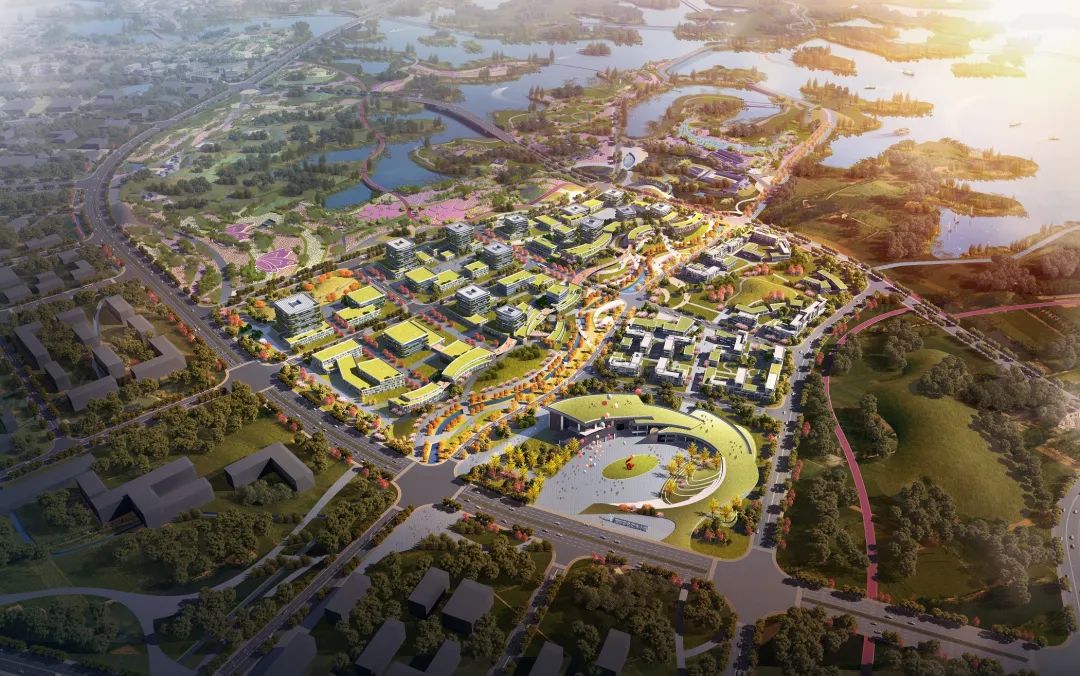 高新区国际彩色花木小镇 | 山水间的彩色生活新探索-3