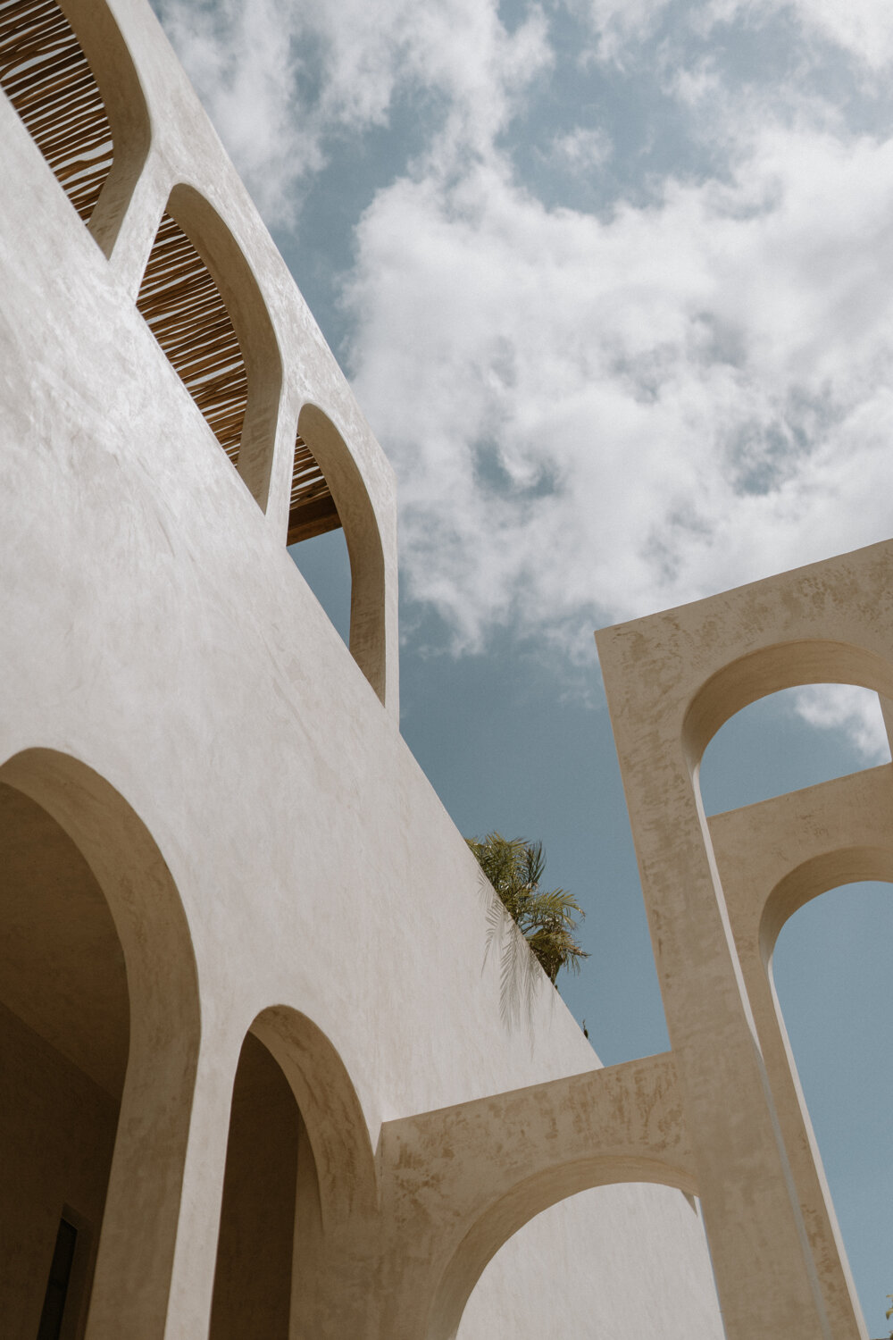 Fosil Tulum 住宅综合体丨墨西哥丨Terreo 工作室-1