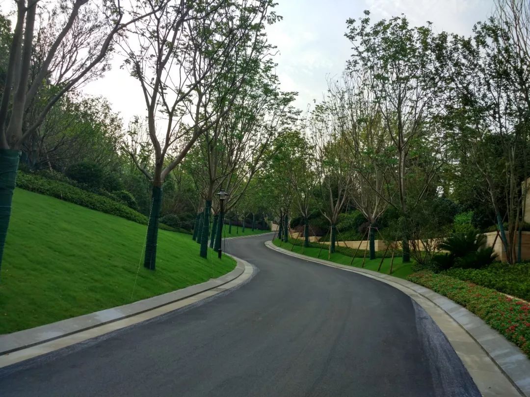 九月森林景观设计 | 金陵城，老山中，如梦境般栖居的“天宫之城 “-63