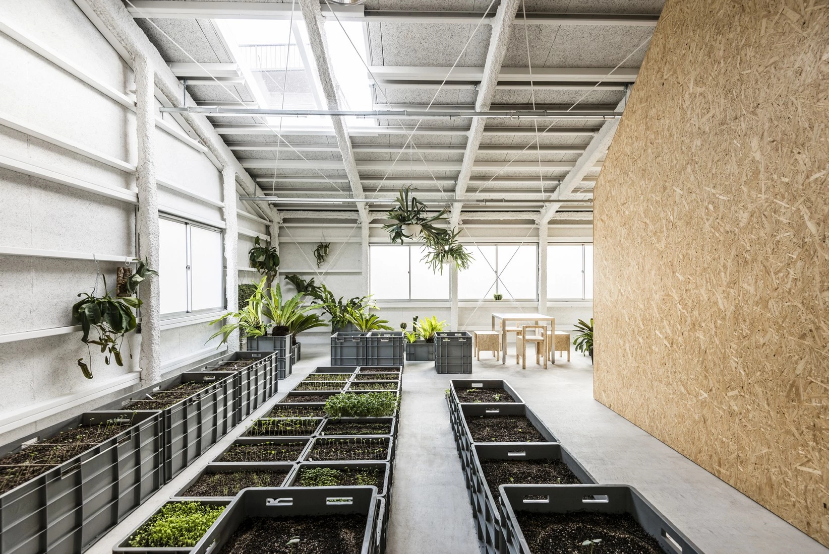 东京艺术家工作室，旧厂房的创意新生-42