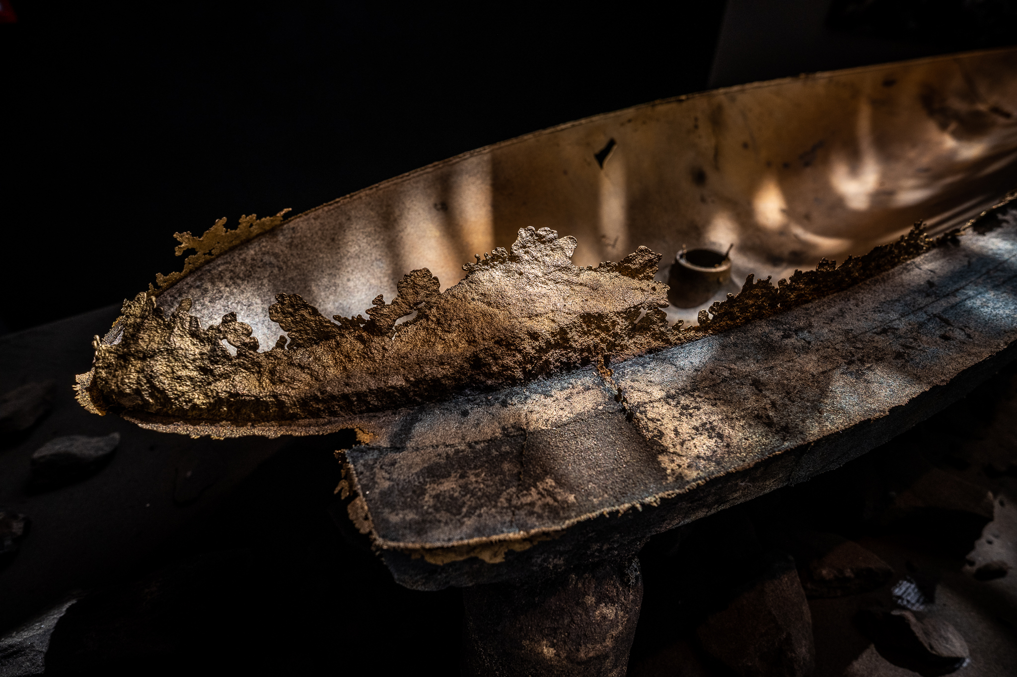 Sharks at The Jane - Dieter Vander Velpen Architects-15