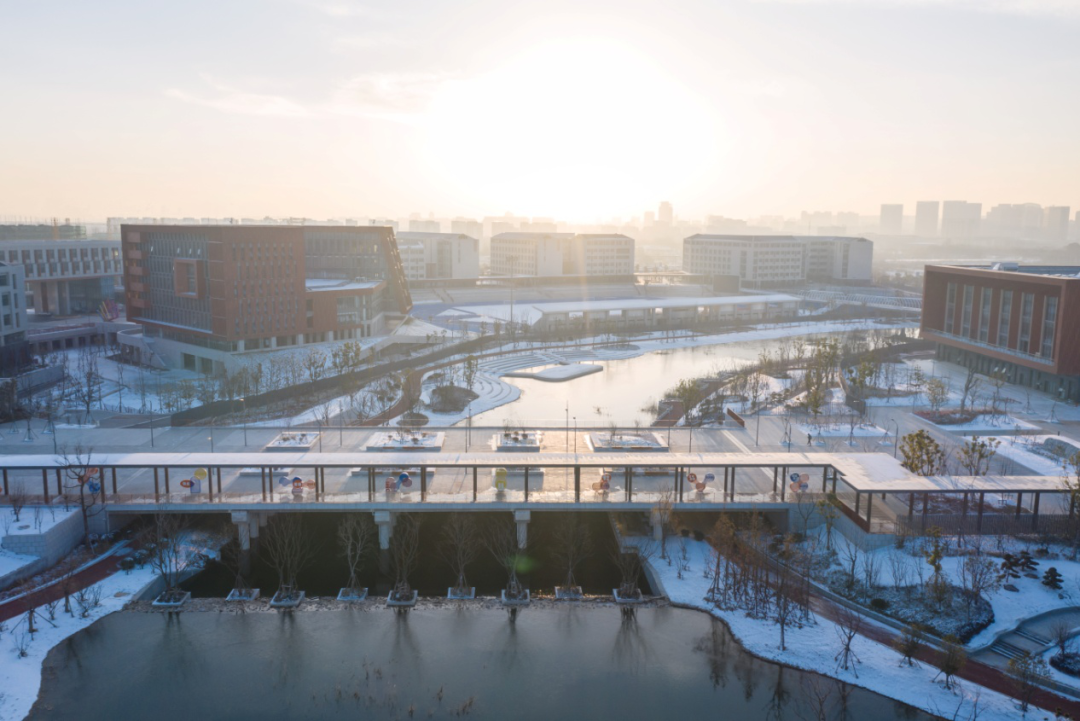 西区新城高级中学丨中国扬州丨华造设计-19