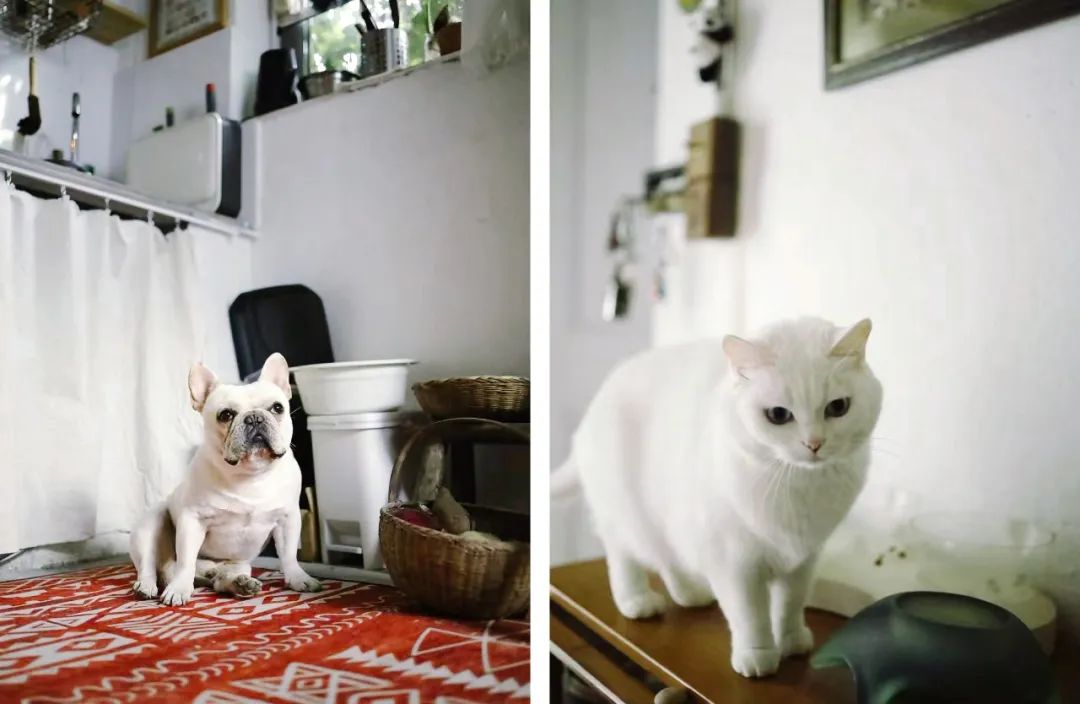 低成本梦幻小院改造丨中国南京丨思文,Ssisy,溯溯-41