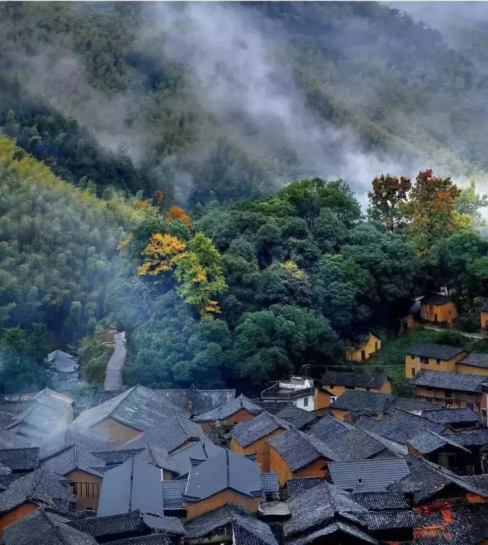 松阳原舍揽树山房 | 最后的江南秘境里的理想山居-5