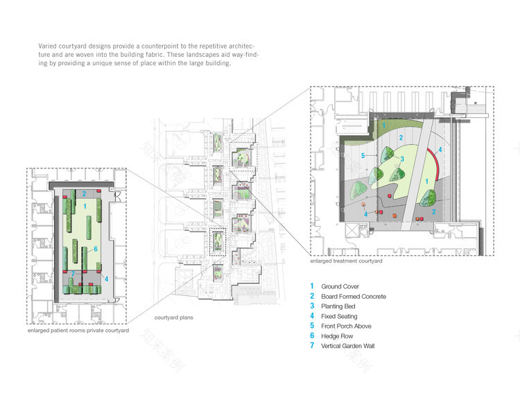 樱桃医院(Cherry Hospital)-24