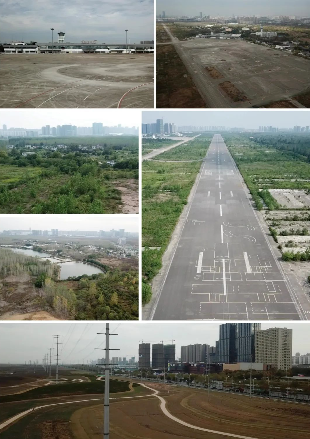 合肥骆岗公园景观设计丨中国合肥丨泛亚景观设计（上海）有限公司-31