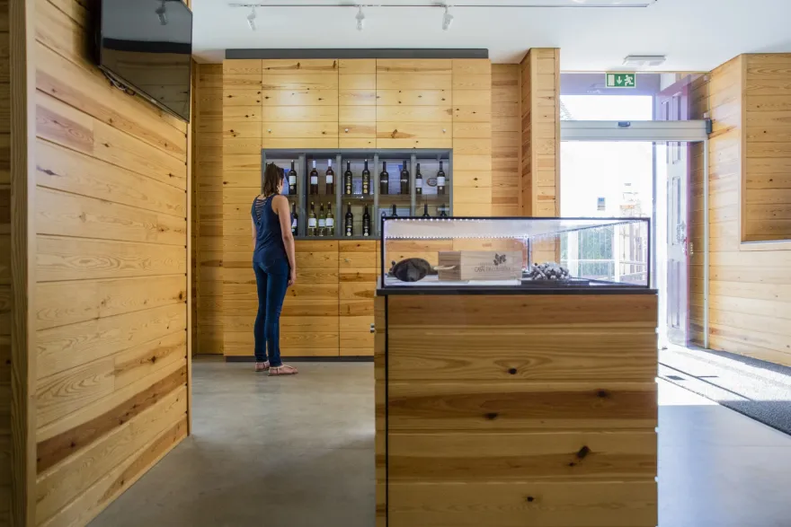 葡萄牙酒庄的现代复兴-14