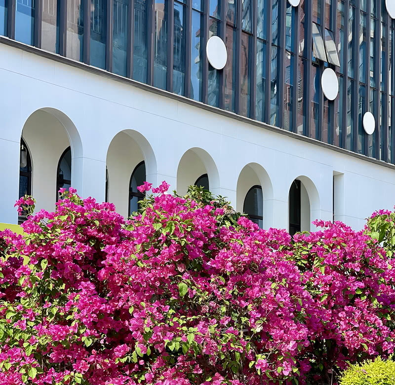 武汉光谷蜜糖镇生活美学馆丨中国武汉丨张文基-4