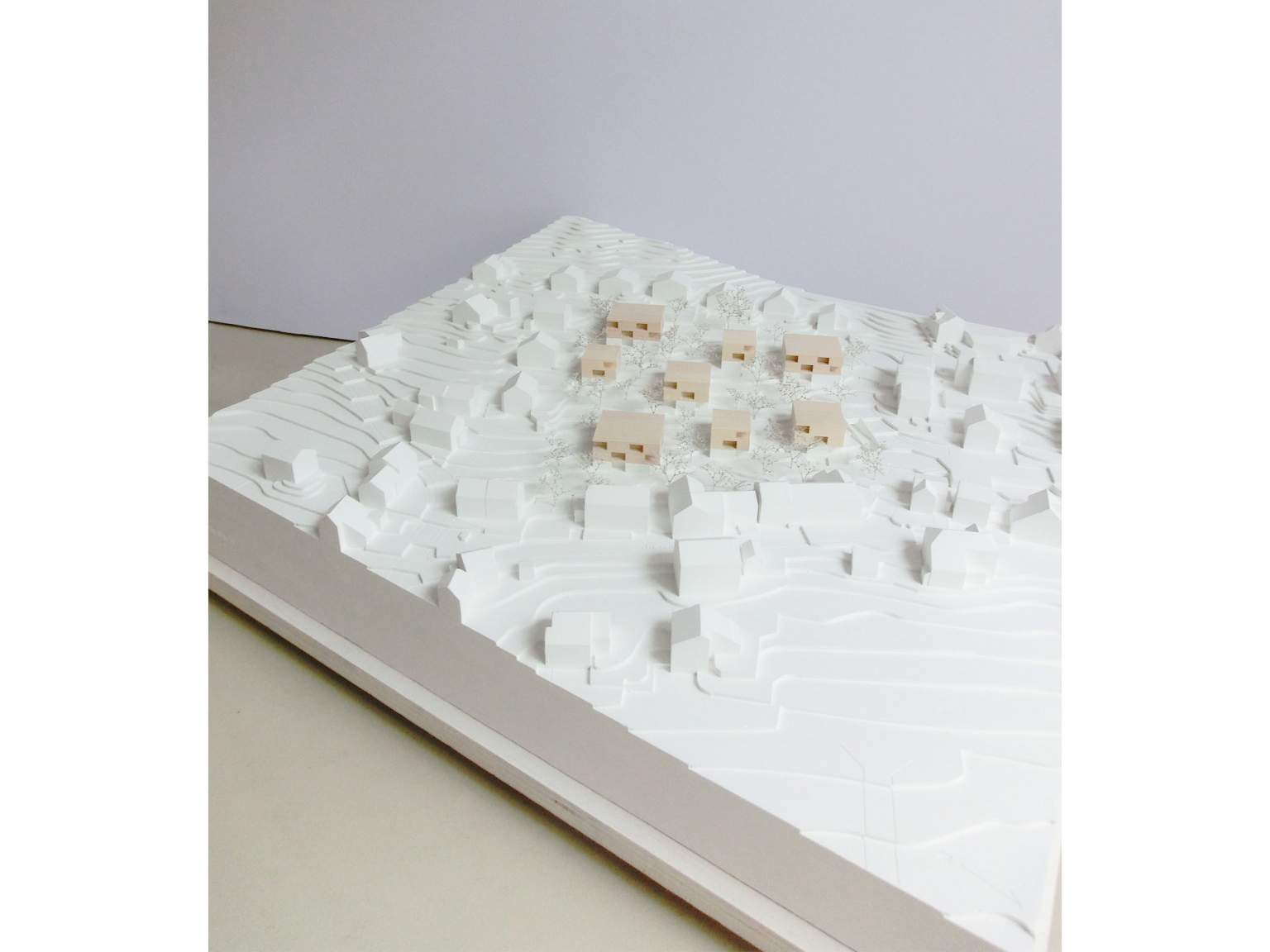 普拉拉维施居住区丨J2M mayr metz architekten-6