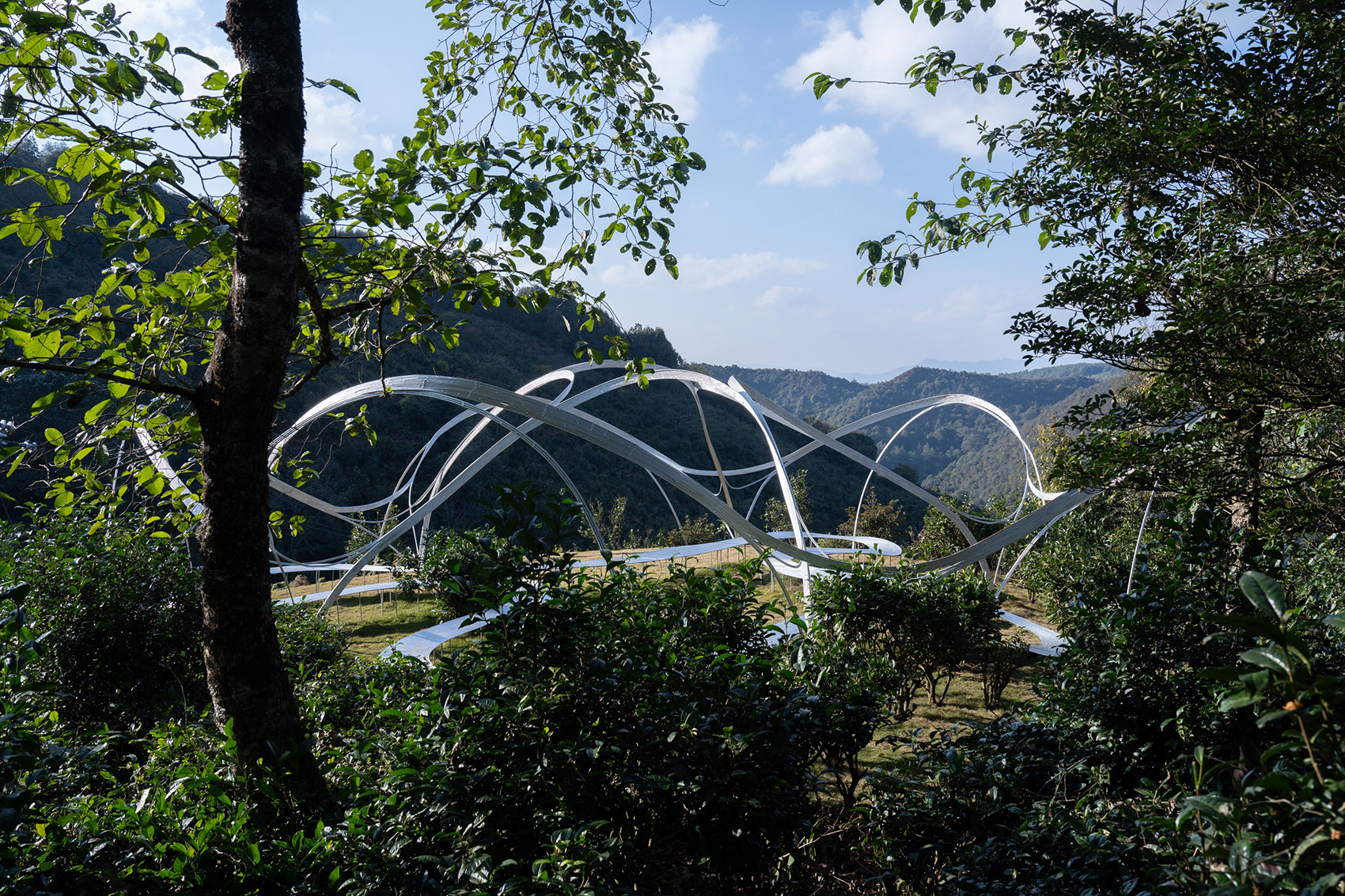 大理无量山一朵茶花高原剧场丨中国大理丨孔祥伟工作室-12