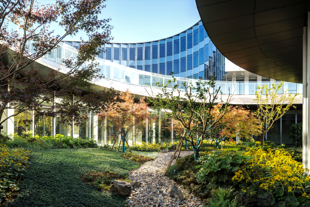 阿里巴巴南湖未来科学园丨中国杭州丨阿普贝思UP+S-117