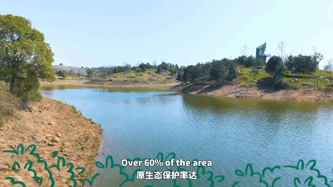 诺拉的“中国建造”行|当科技听见7平方公里的“呼吸”-18