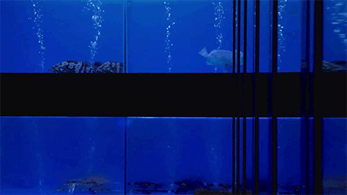 千田一厨海鲜火锅餐厅丨中国深圳丨XIN 辛视设计-27