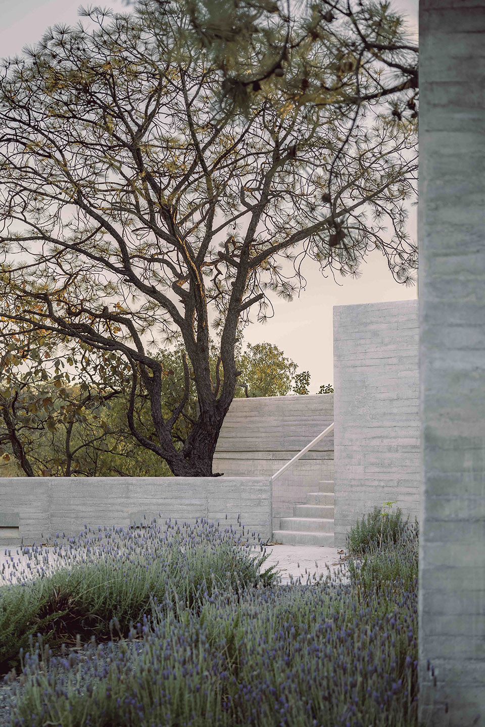 AMAPA 住宅丨墨西哥瓜达拉哈拉丨Pérez Gómez Arquitectura-21