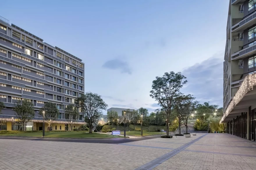 香港中文大学(深圳)思廷学院丨中国深圳-70