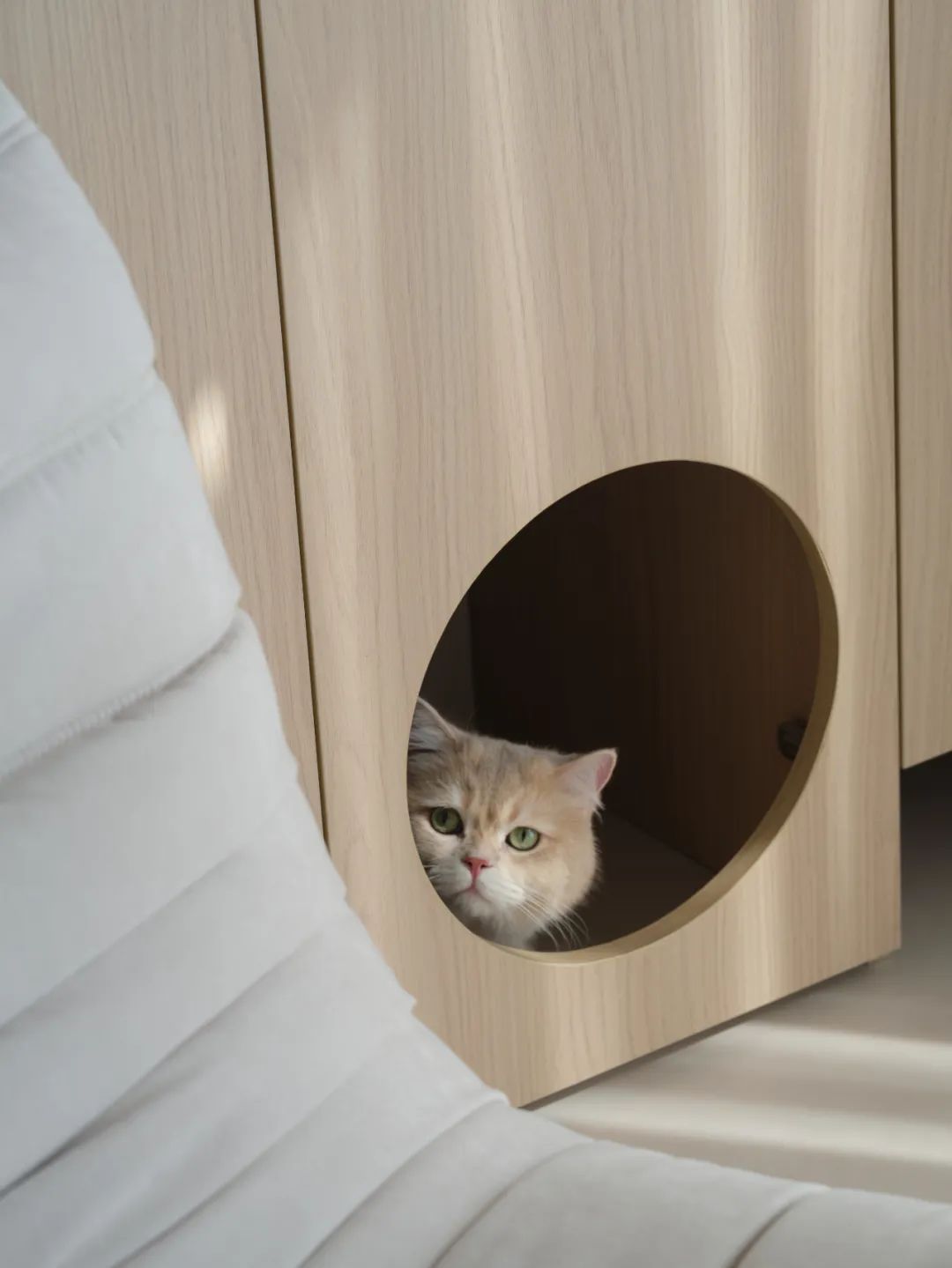 武汉远洋三人两猫的甜蜜住宅丨中国武汉丨大思-21