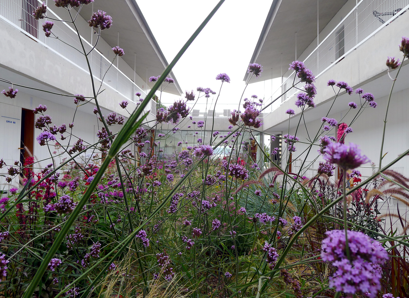 Bela Fisterra Hotel(海滨文学主题酒店)-38