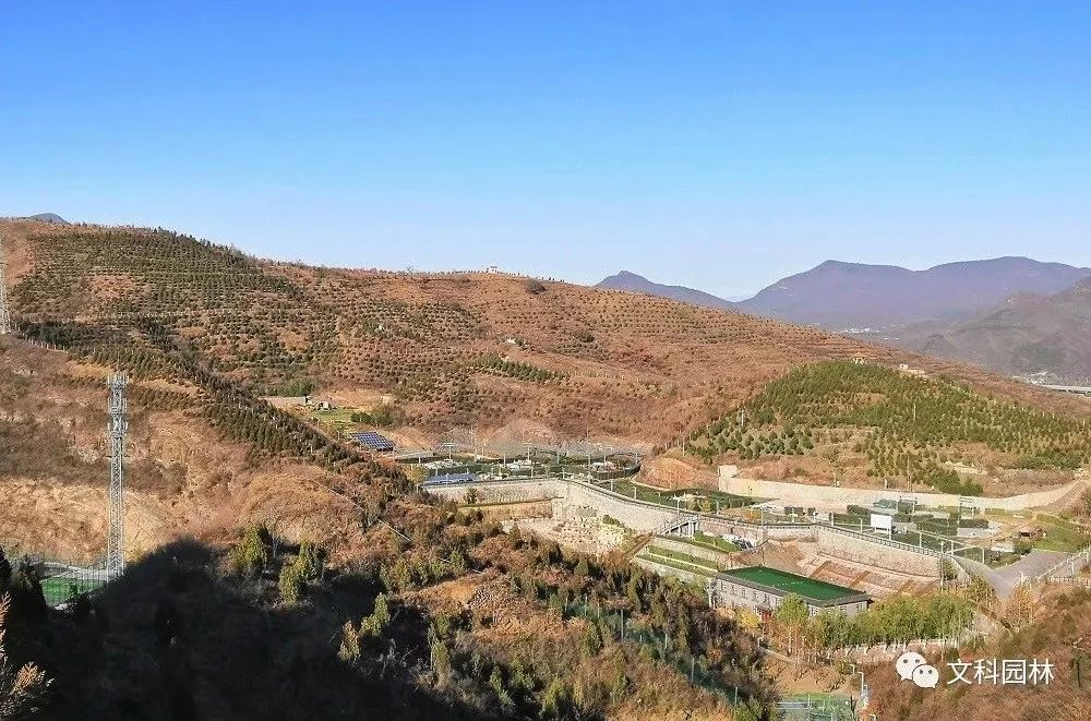 绿色生态屏障 | 门头沟百万亩造林工程-0