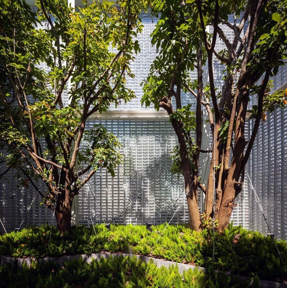 泰国玻璃打造的售楼中心-48