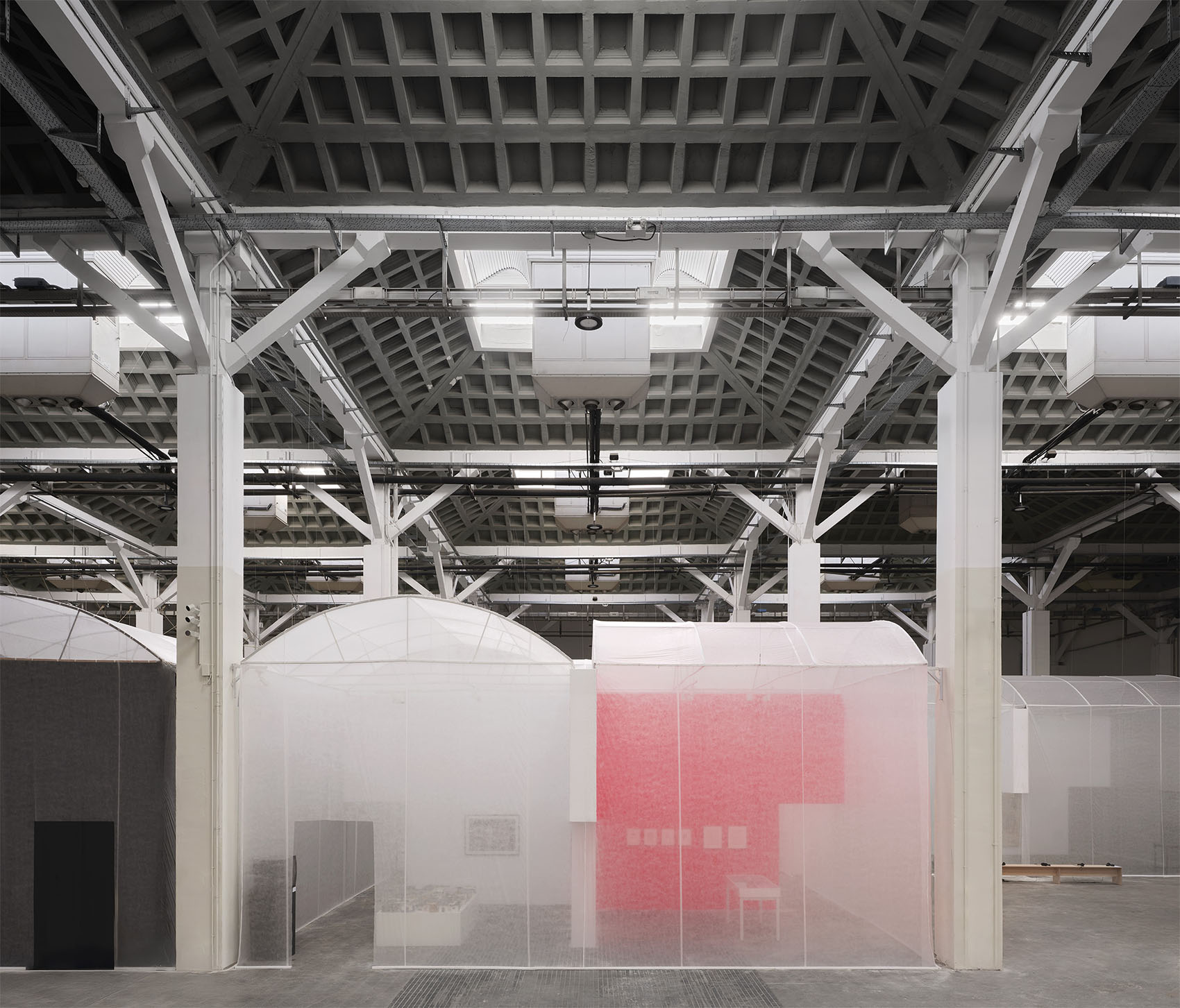 加泰罗尼亚博物馆栖息地展览设计丨西班牙丨Lluís Alexandre Casanovas Blanco-16