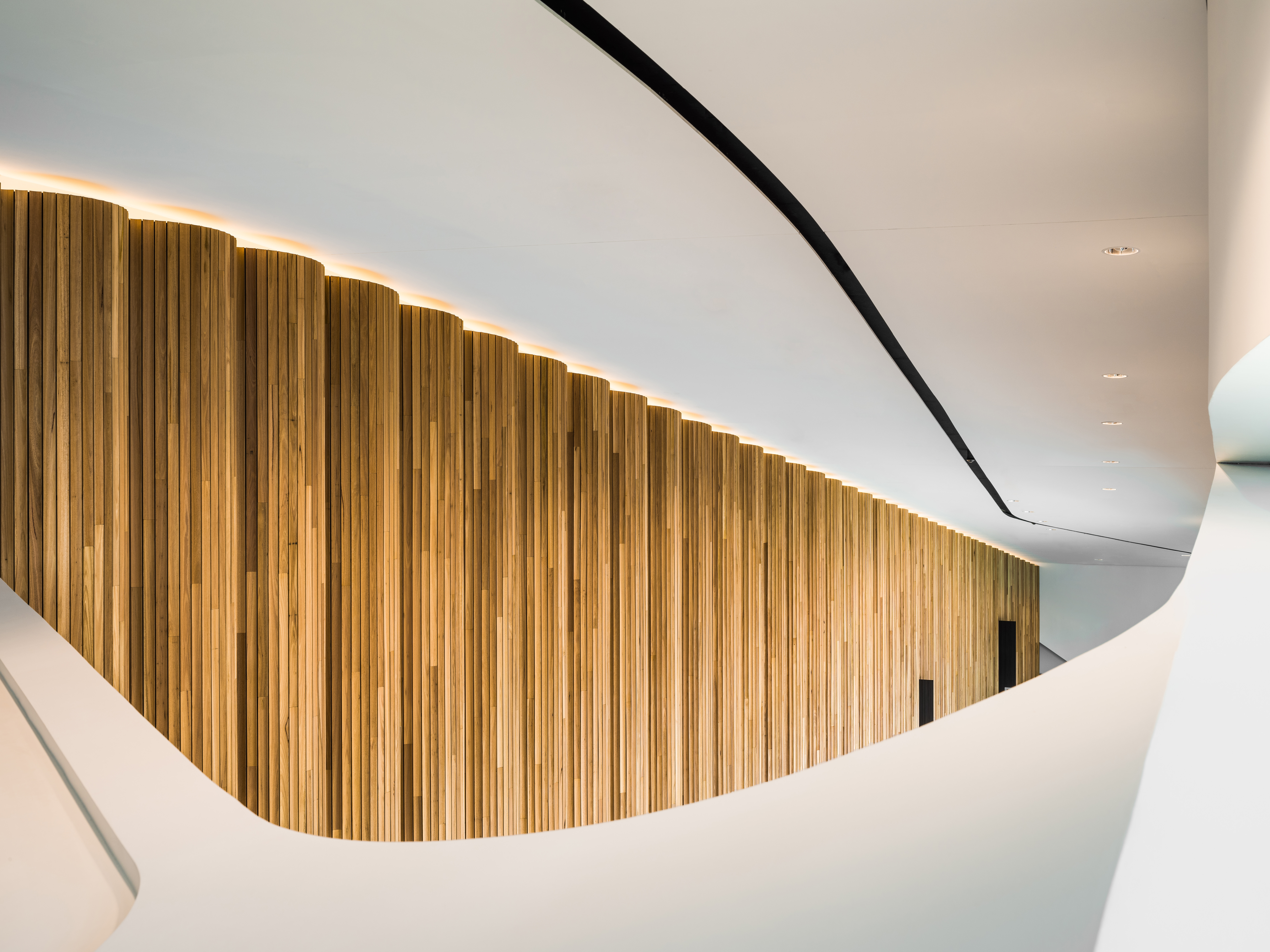 Design in Co-Development | Woods Bagot-7