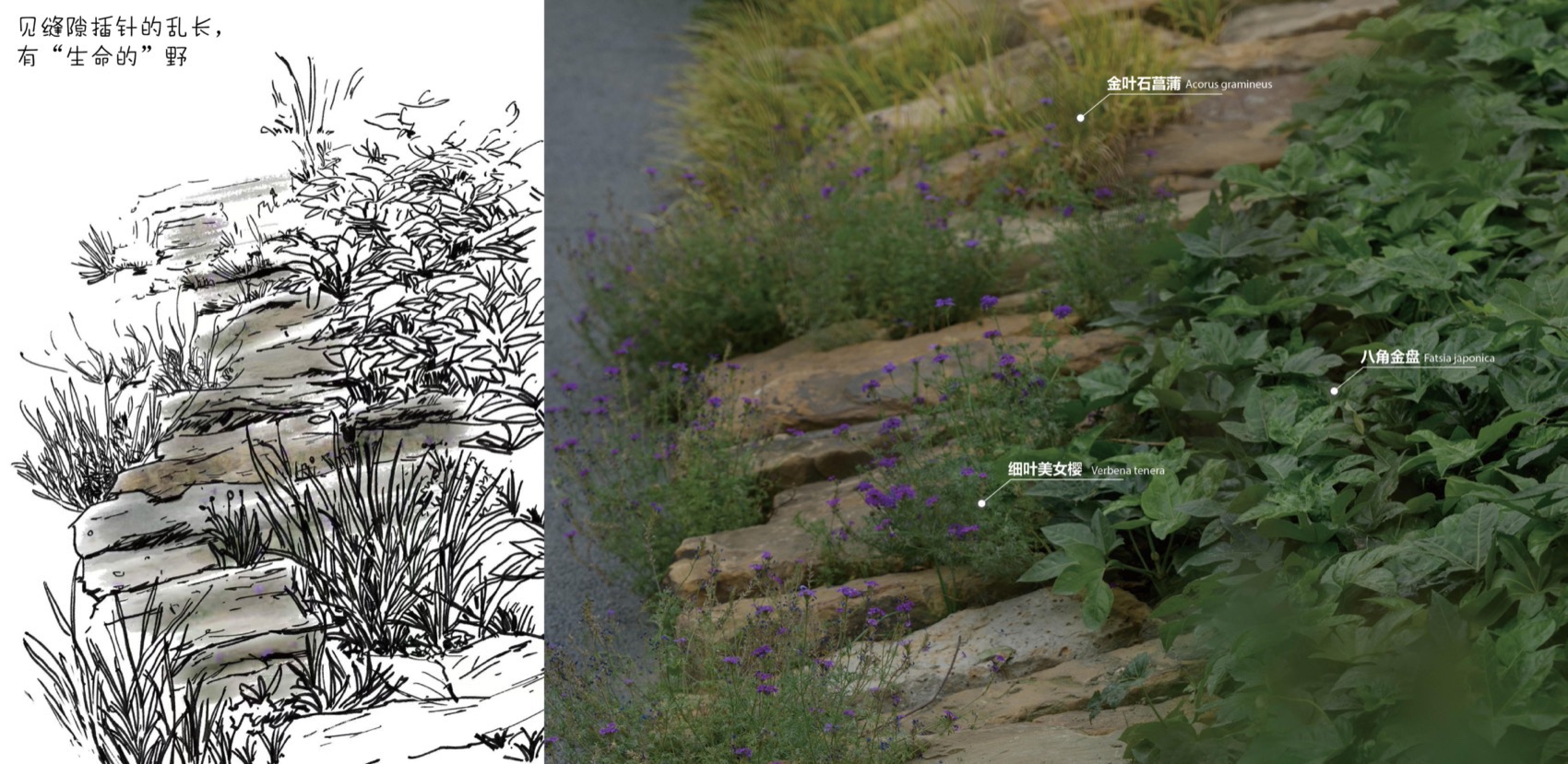 成都趣野公园（屋头公园）丨中国成都丨大小景观-196