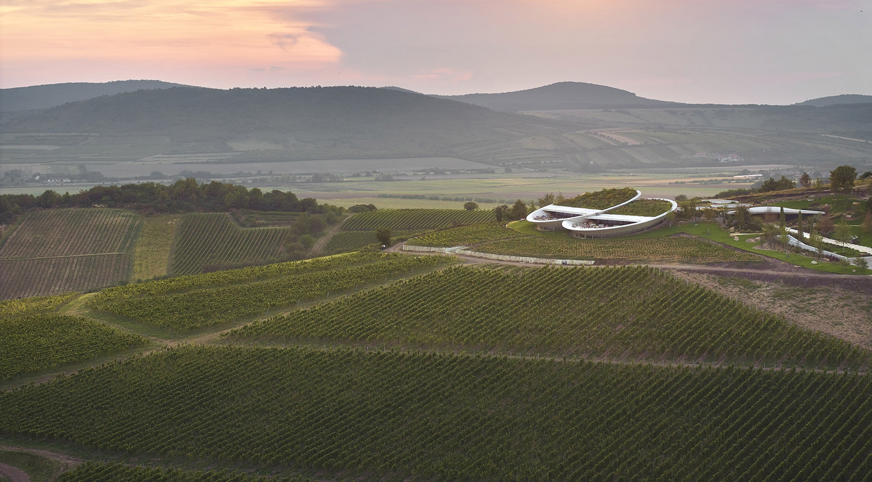 Sauska Tokaj酿酒厂，匈牙利 / BORD Architectural Studio-66