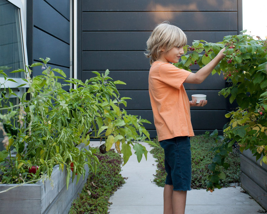 丨美国芝加哥-29