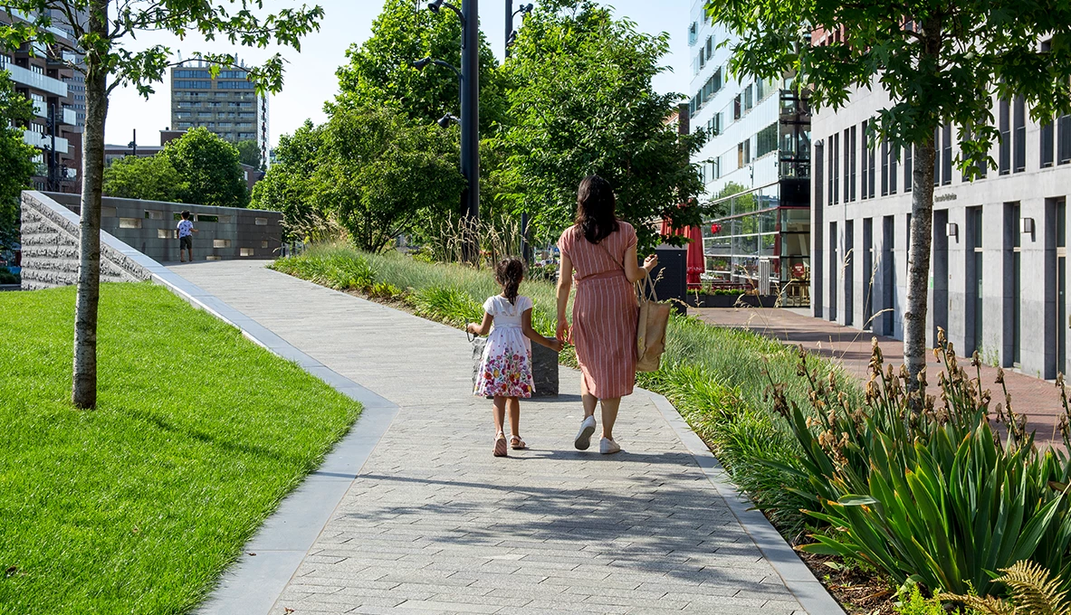 Binnenrotte Rotterdam-12