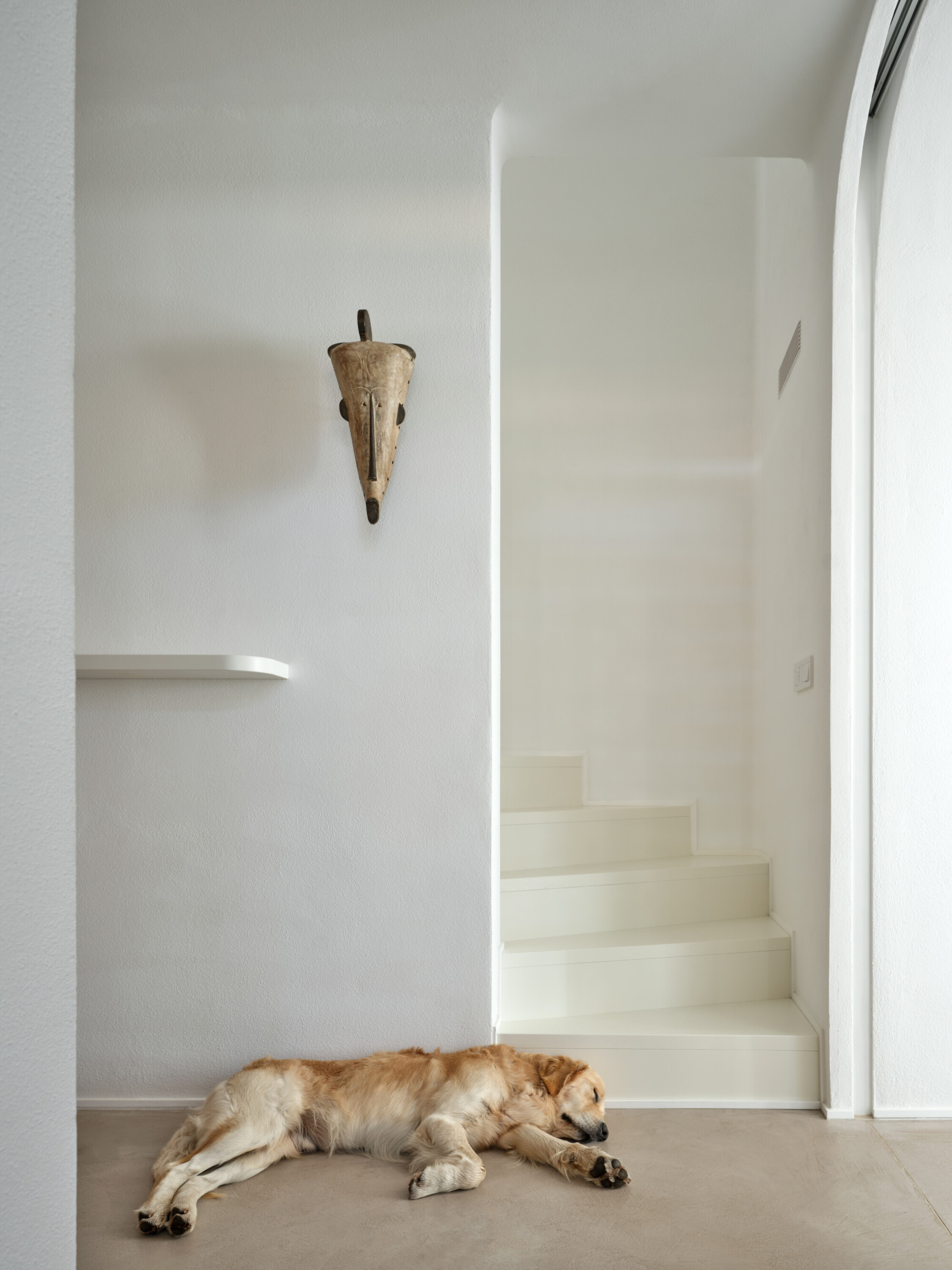 乡村自建房丨捷克丨Jan Zaloudek Architekt-38