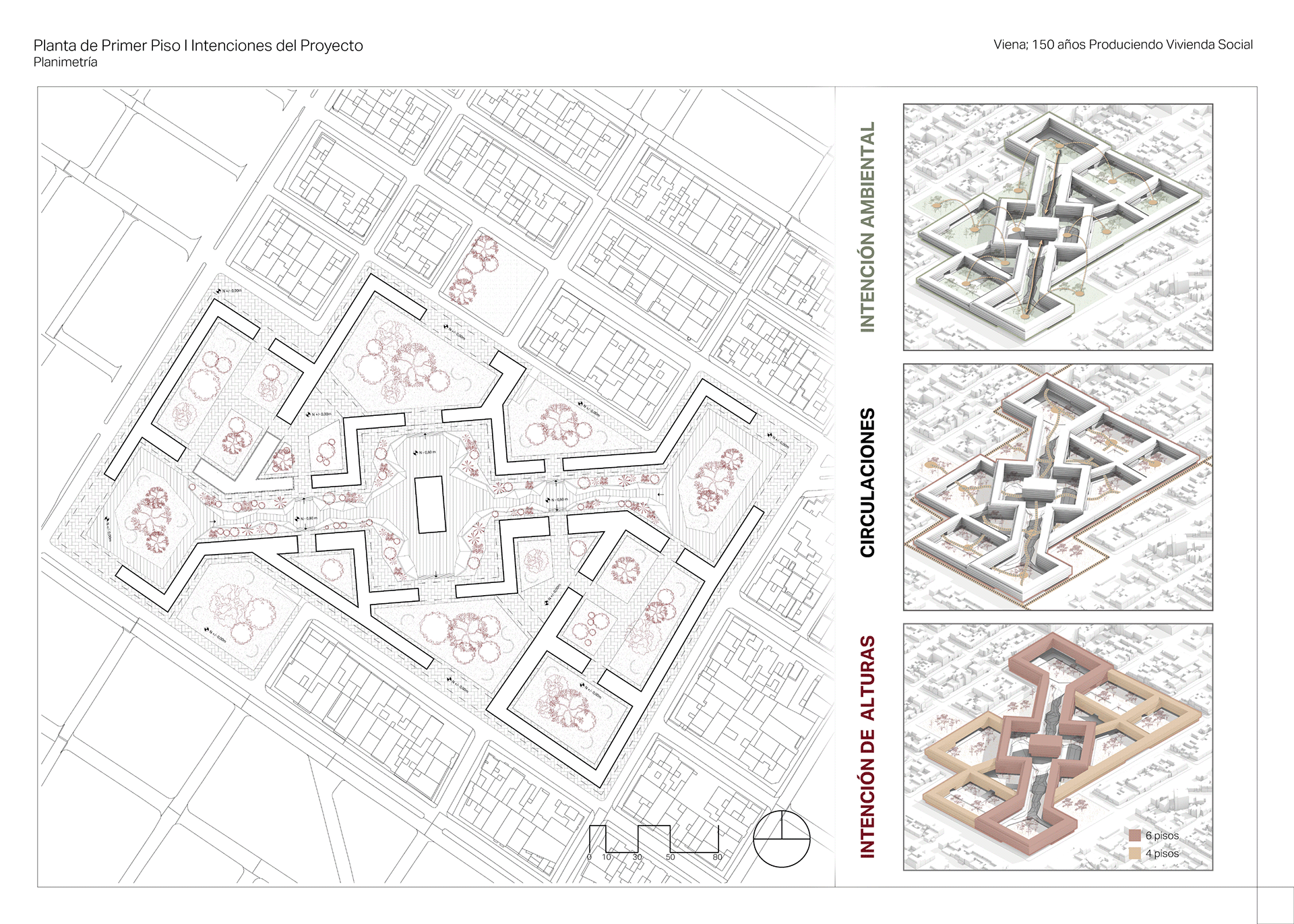 ARQT 2416 | Viena Produciendo Vivienda Social-25
