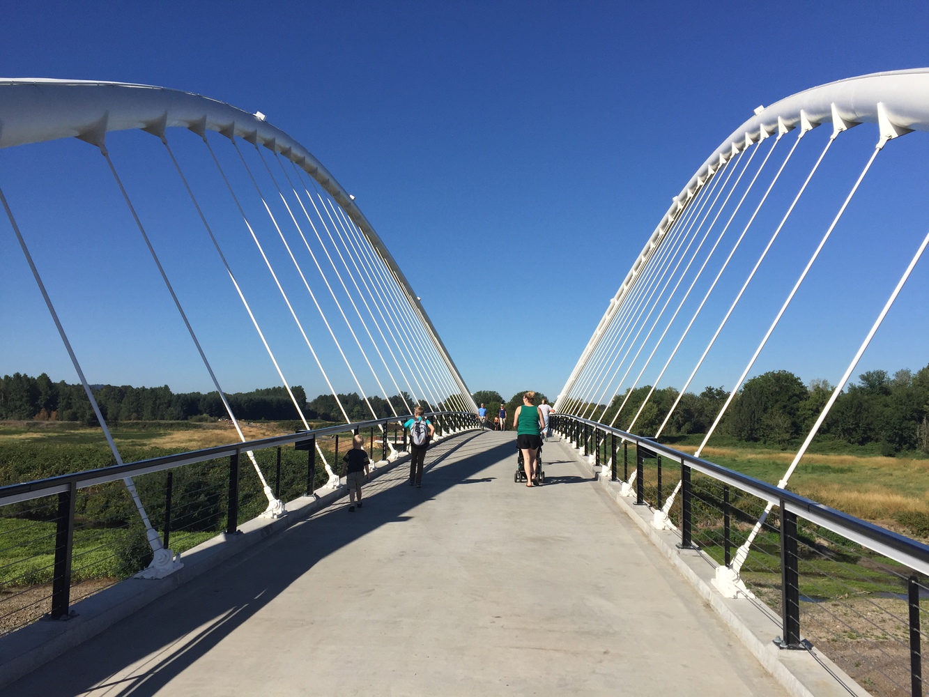 美国彼得·考特尼·明托岛自行车和人行天桥-15