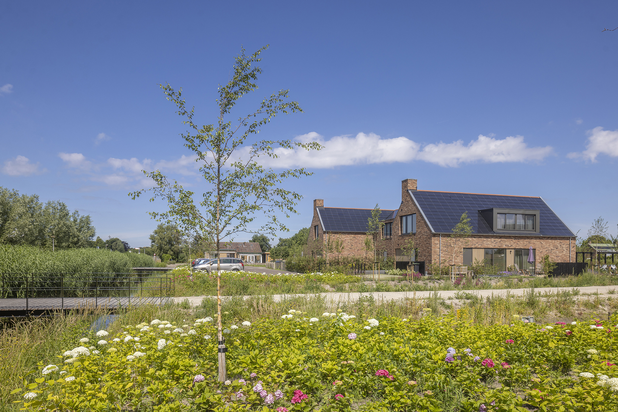 Roosenhorst 社区丨荷兰丨Atelier PRO architects-27