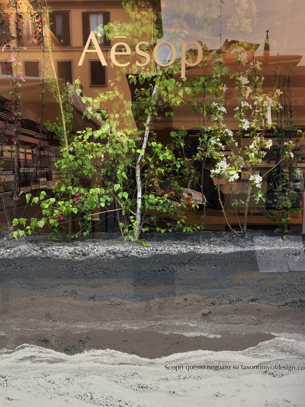 Aēsop的三个玻璃容器装置丨意大利米兰-23