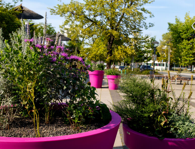 德国 Gera 城市公共空间装饰项目丨Terra Group-30