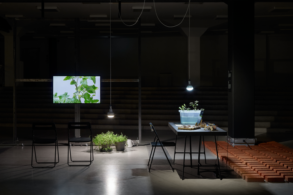 Izstādes «Dekoloniālās ekoloģijas» arhitektūra — «Gaiss» ← FOLD-10