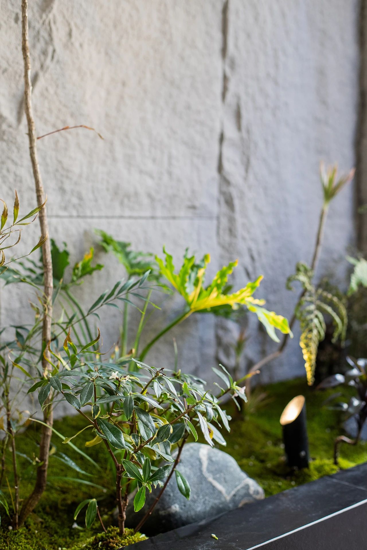 窗含千秋 一方疏影问茶西东丨中国潍坊丨龙涌建筑空间设计事务所,时运空间设计-2