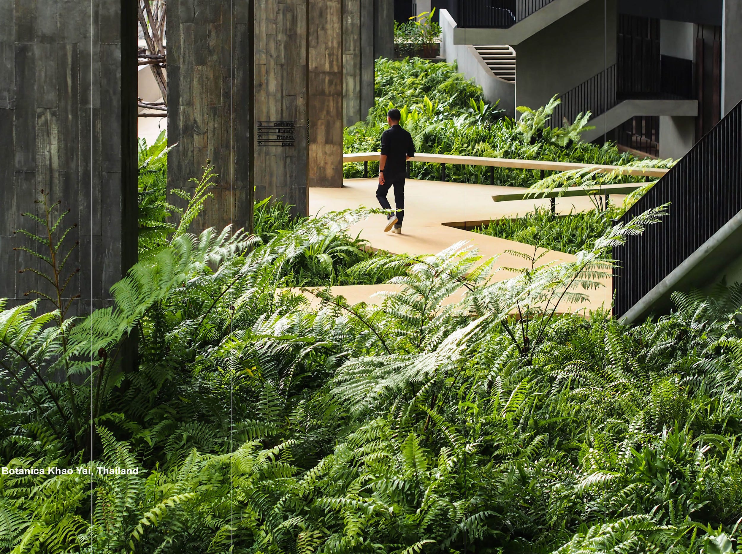 泰国考艾Botanica住宅酒店丨TROP:terrains + open space-11