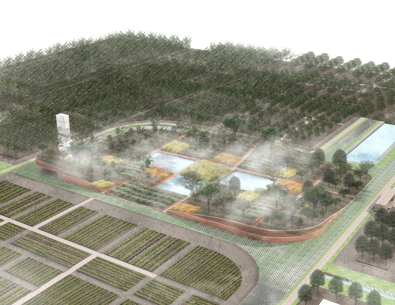 越南 Cuchi 有机农场-21